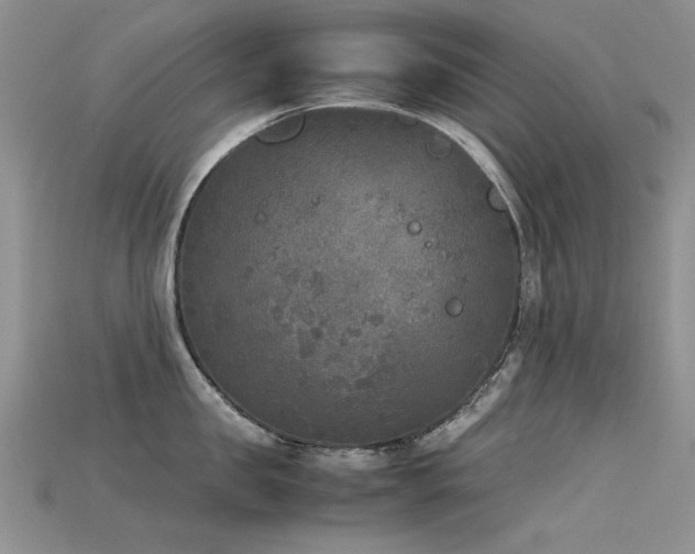 X0000115720957200911121448