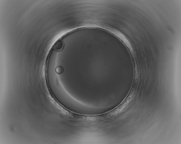X0000115720958200911121448