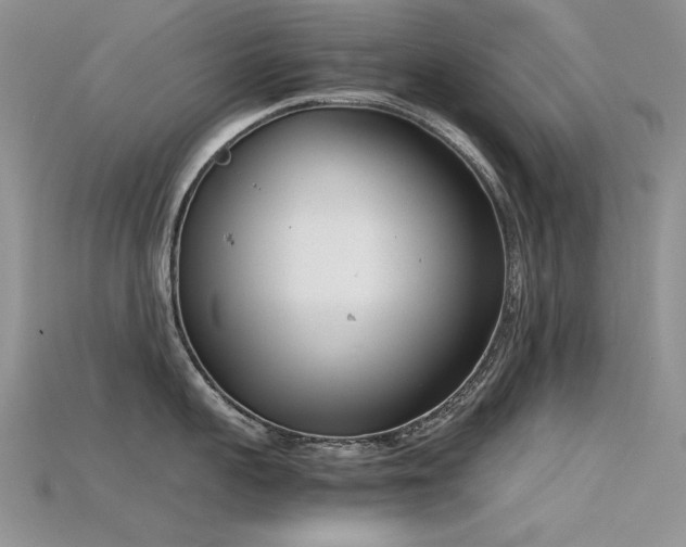 X0000115720959200911121448