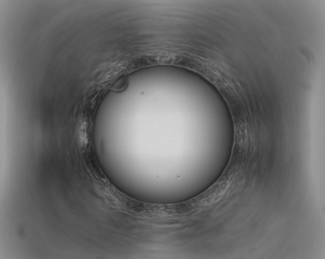 X0000115720962200911121447