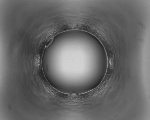 X0000115720963200911121447