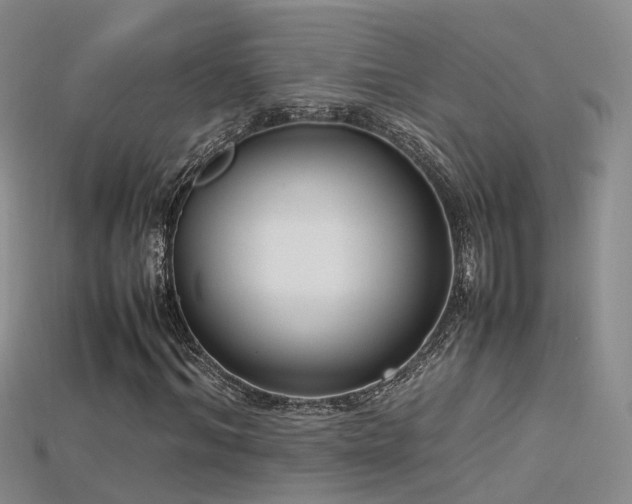 X0000115720964200911121447
