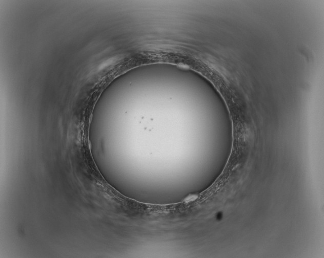 X0000115720965200911121447