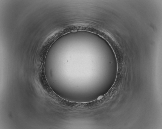 X0000115720967200911121447