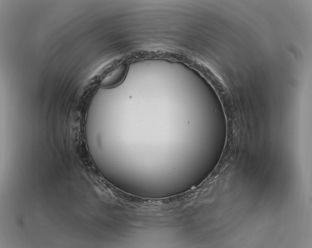 X0000115720968200911121447