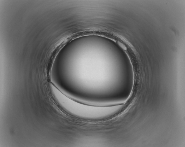 X0000115720969200911121447