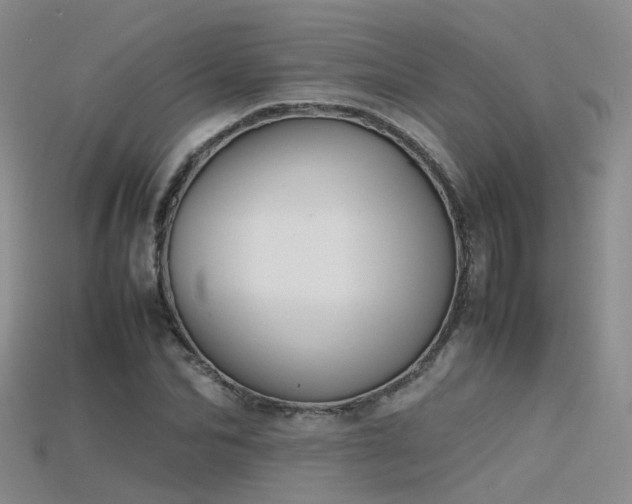 X0000115720974200911121447