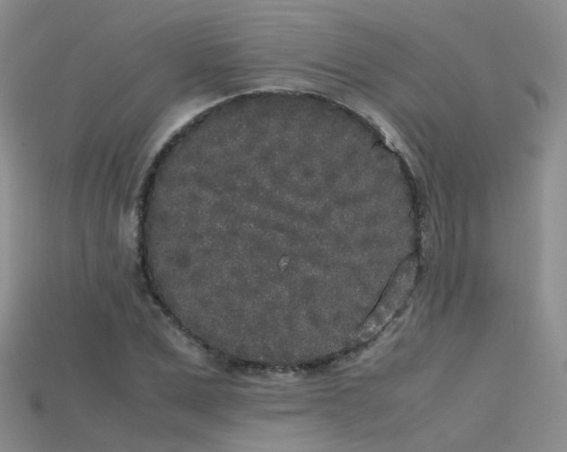 X0000115720975200911121447