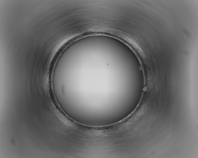 X0000115720976200911121447