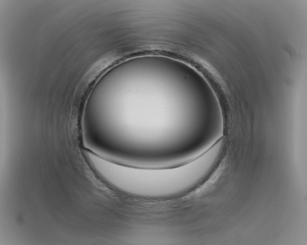 X0000115720977200911121447