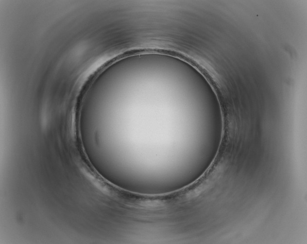 X0000115720982200911121447