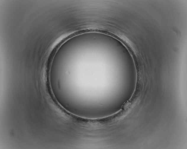 X0000115720983200911121447