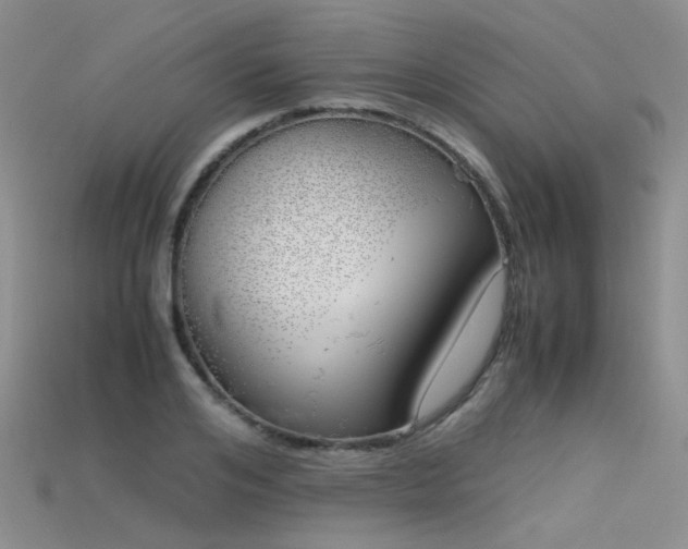 X0000115720984200911121447