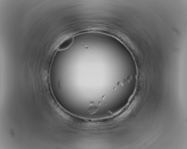 X0000115720985200911121447