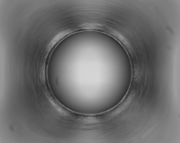 X0000115720986200911121447