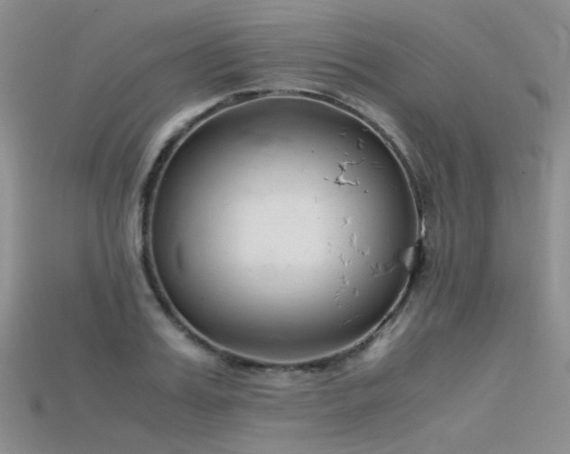 X0000115720987200911121447