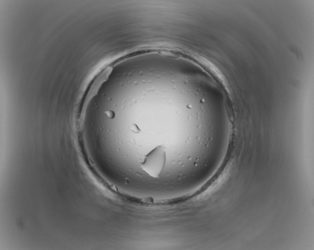 X0000115720989200911121447
