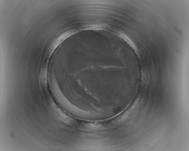 X0000115720994200911121447