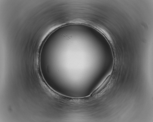 X0000115721000200911121446