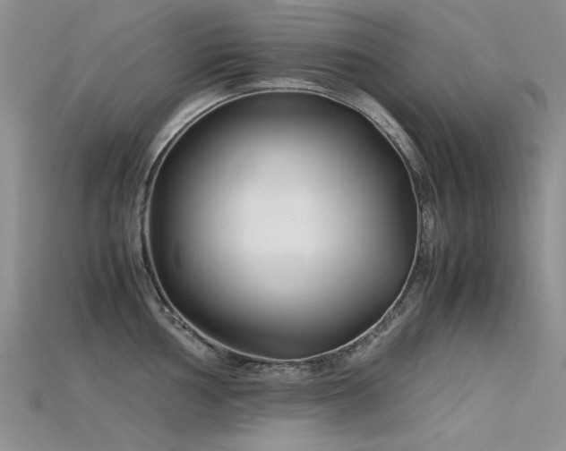 X0000115721002200911121446