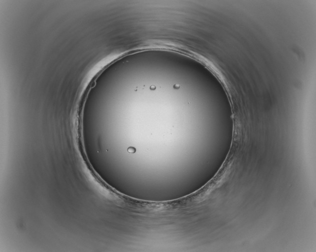 X0000115721003200911121446