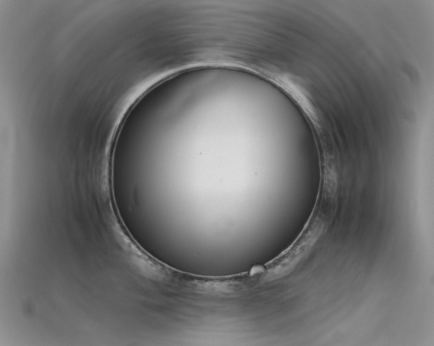 X0000115721004200911121446