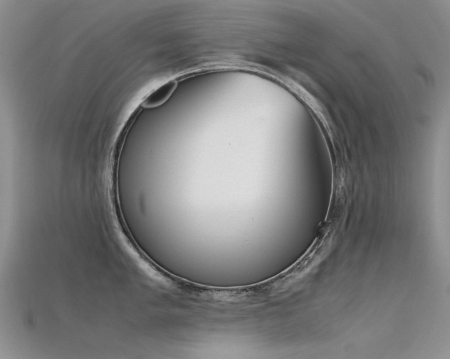 X0000115721005200911121446