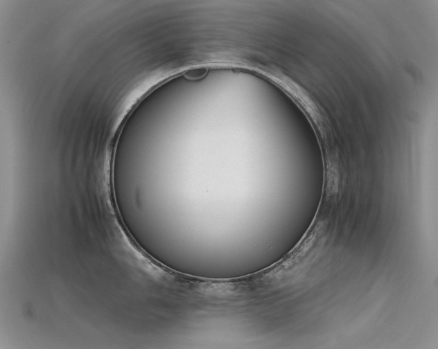 X0000115721006200911121446