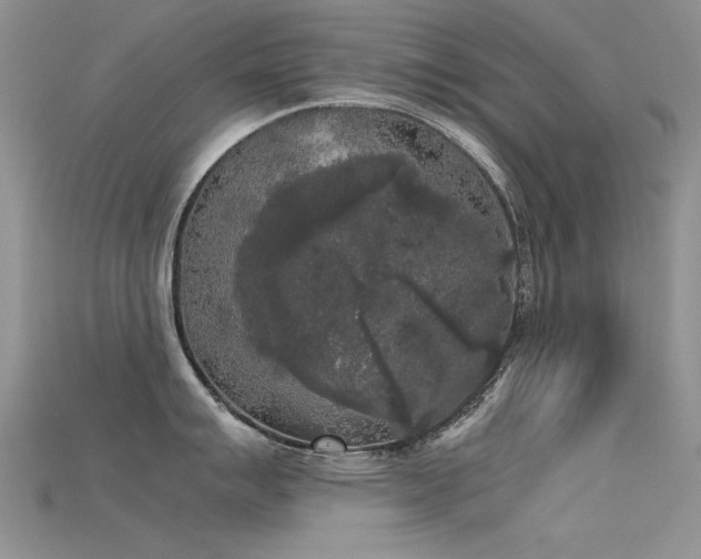 X0000115721007200911121446