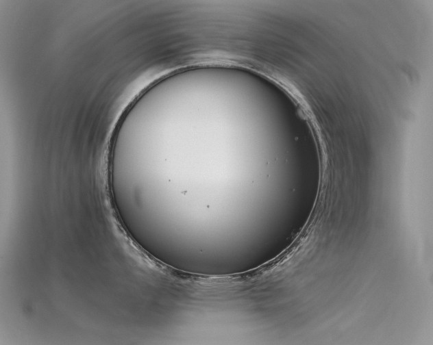 X0000115721008200911121446