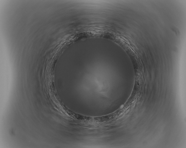 X0000115721009200911121446