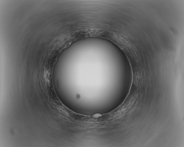 X0000115721010200911121446