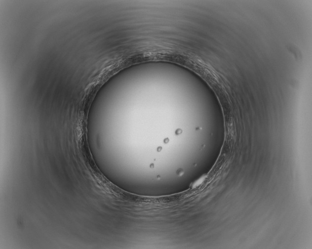 X0000115721012200911121446