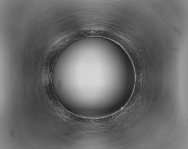 X0000115721014200911121446