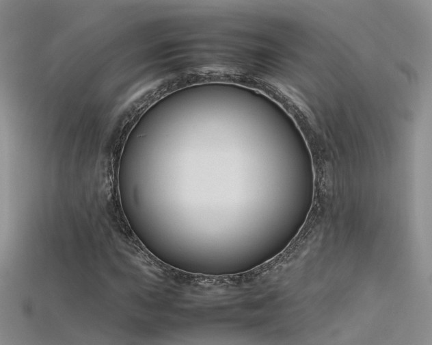 X0000115721015200911121446