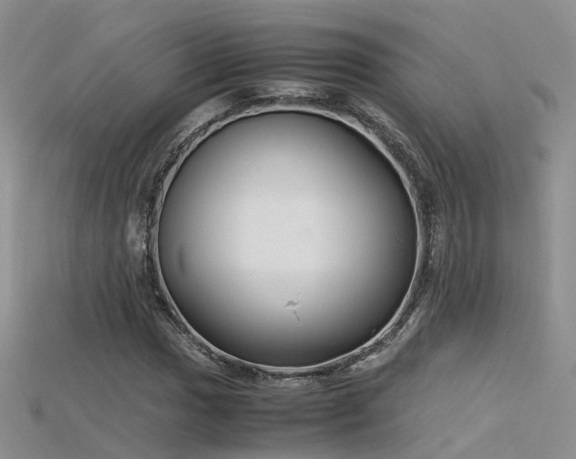 X0000115721017200911121446