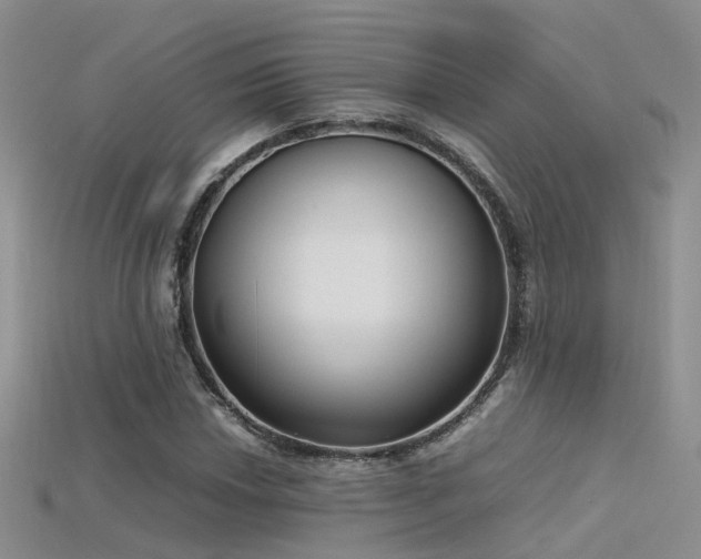X0000115721018200911121446