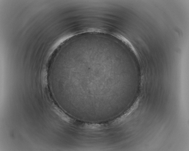 X0000115721019200911121446