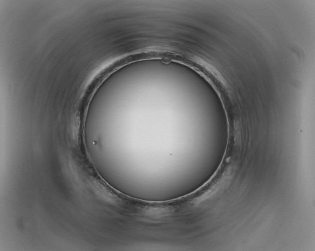 X0000115721021200911121446