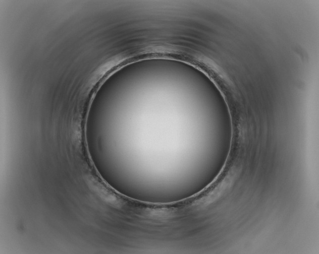 X0000115721025200911121446