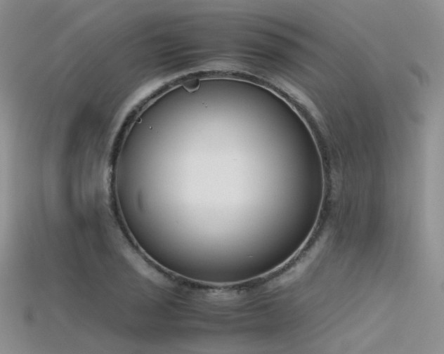 X0000115721029200911121446