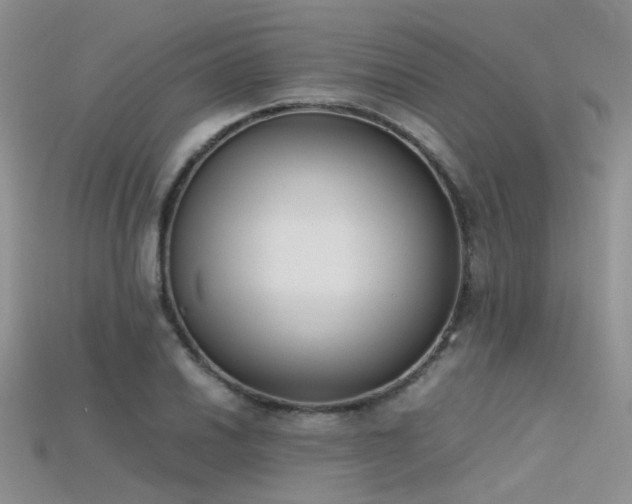 X0000115721030200911121446