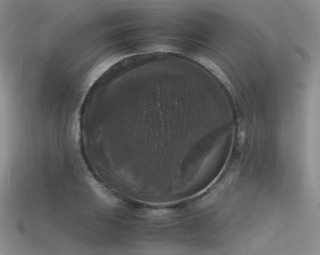 X0000115721031200911121446