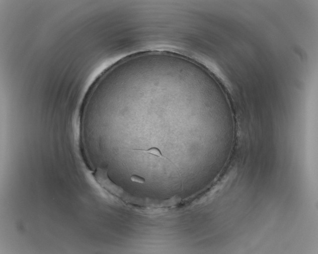 X0000115721032200911121446
