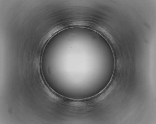 X0000115721033200911121446