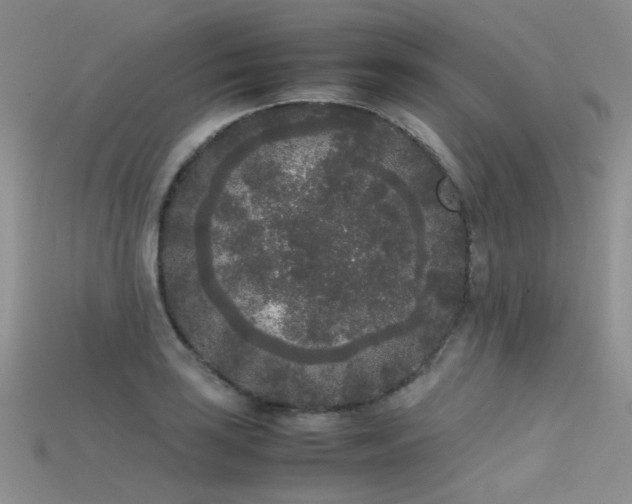 X0000115721035200911121446