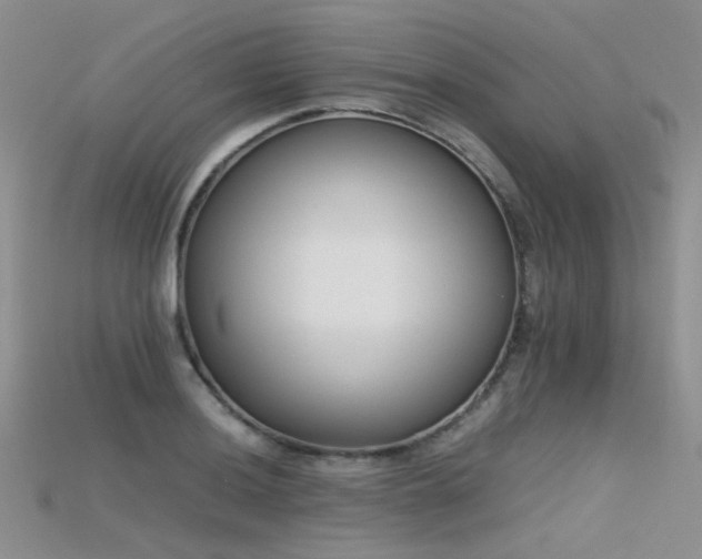 X0000115721036200911121446