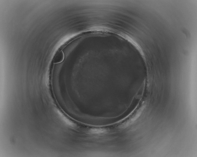 X0000115721037200911121446