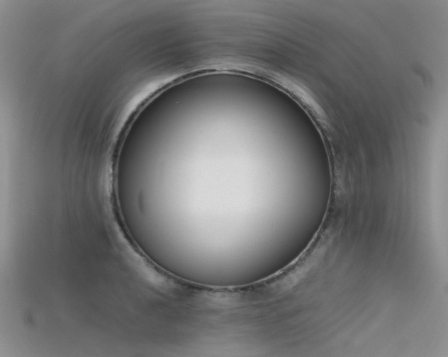 X0000115721040200911121446