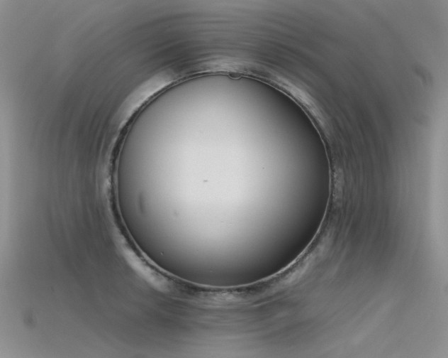 X0000115721042200911121446